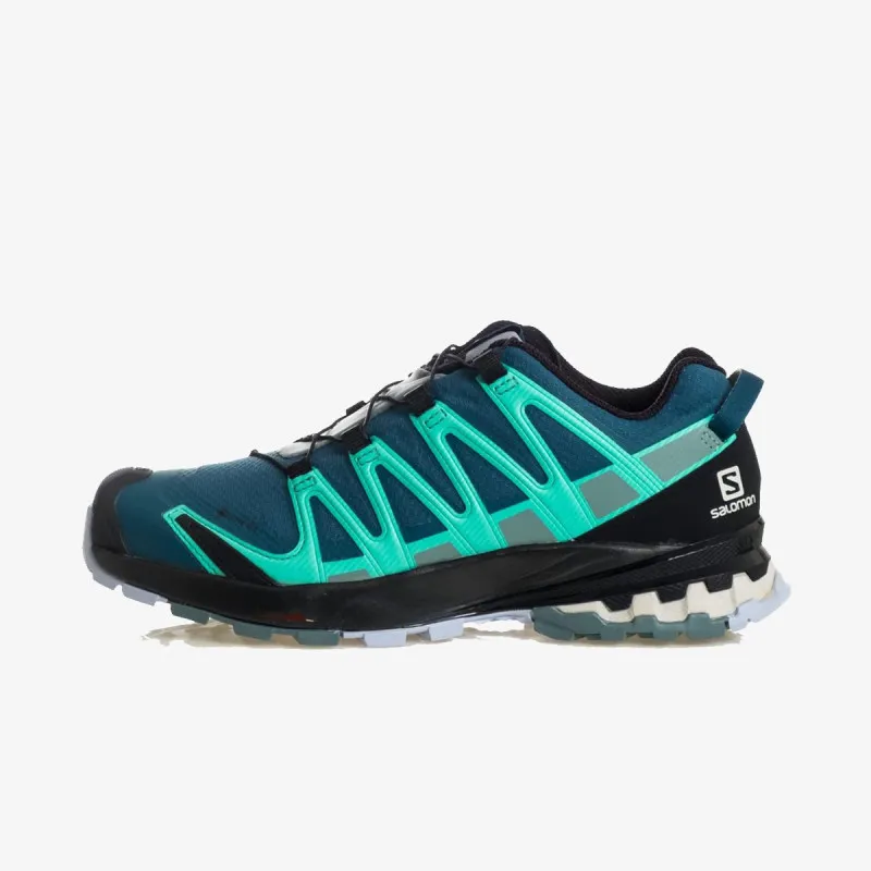 SALOMON XA PRO 3D V8 GTX W